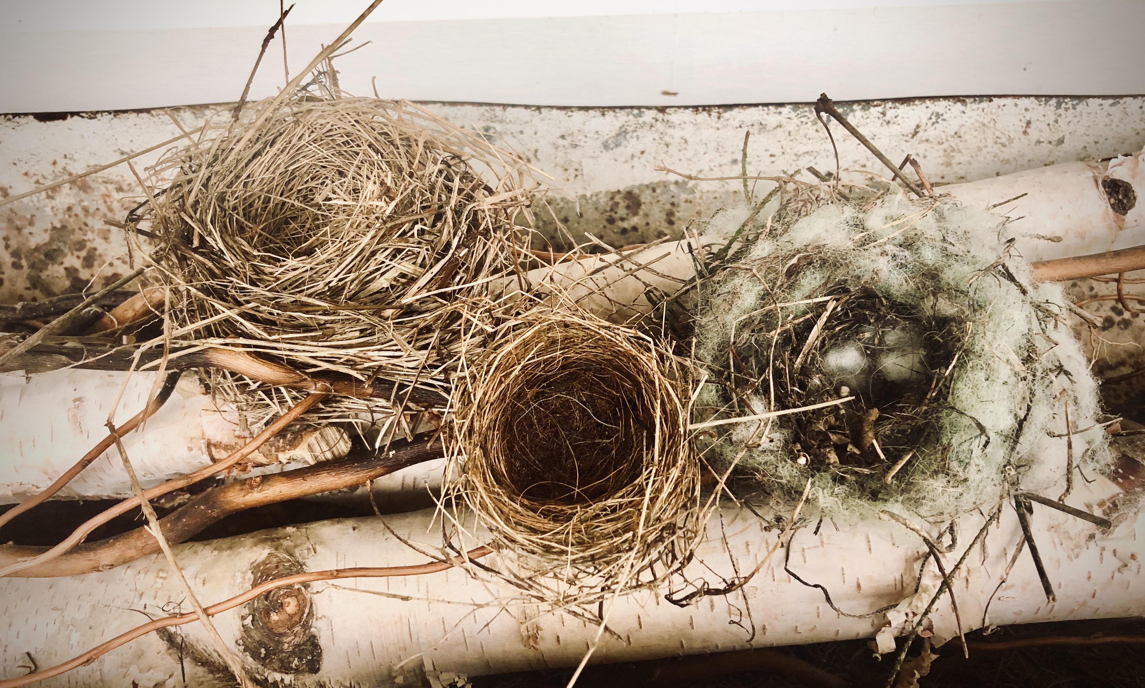 Nesting in Place